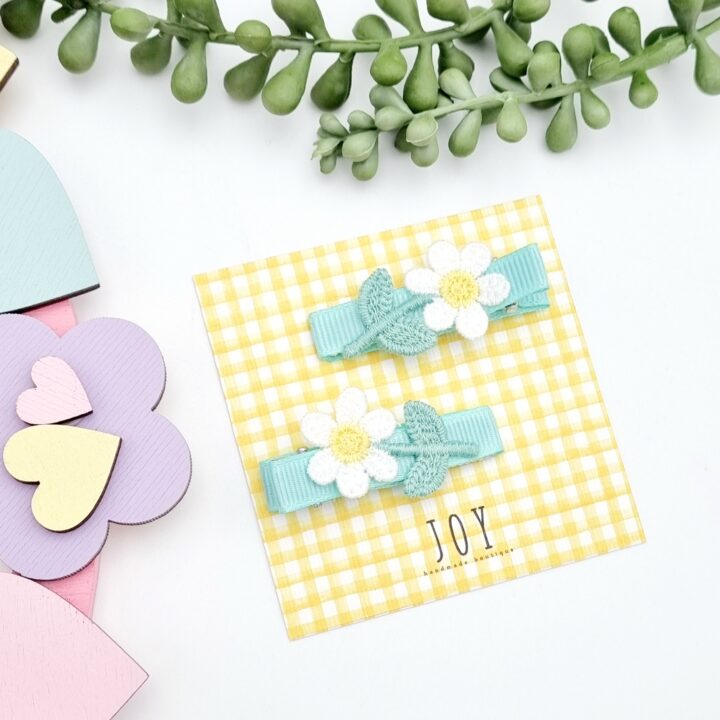 HAIRCLIPS ΛΟΥΛΟΥΔΙΑ